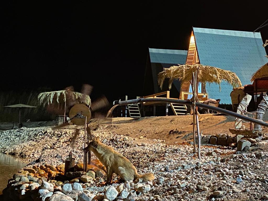Hotel Wadi Al-Hassa Camp Khawkhah Exterior foto